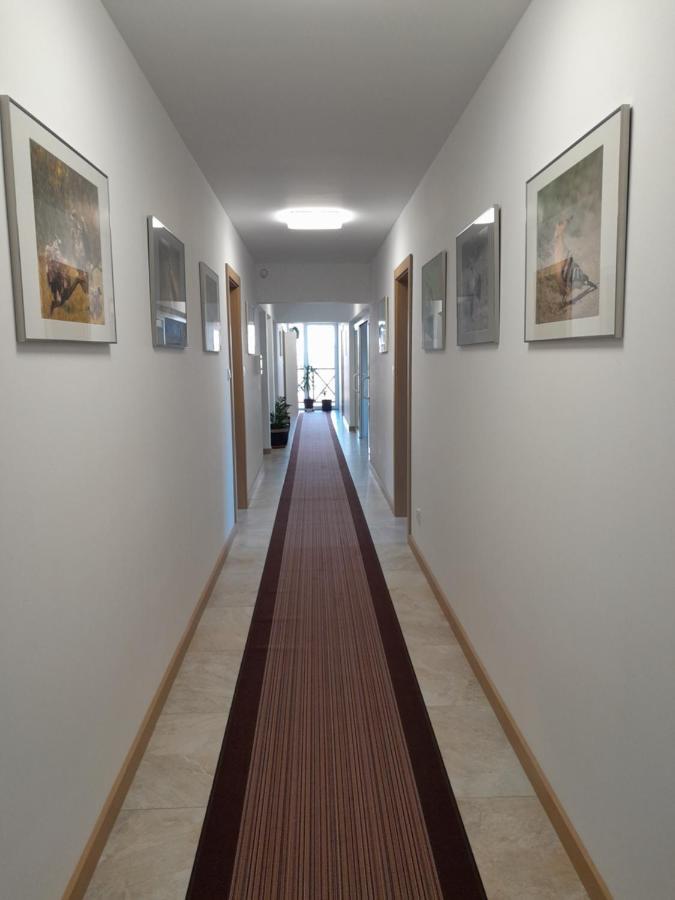 Dworek Akacja Uslugi Hotelarskie Janowiec Exterior photo
